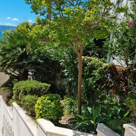 Villa Noemi Mimice